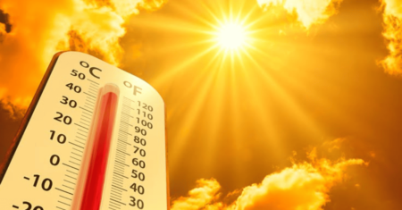 Onda de Calor no Brasil: Como Manter a Casa Fresca e Confortável Mesmo sem Ar Condicionado?